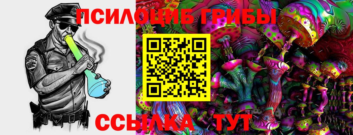 Галлюциногенные грибы прущие грибы  Псилоцибиновые грибы Cubensis  Ковров  Вход с VPN 
