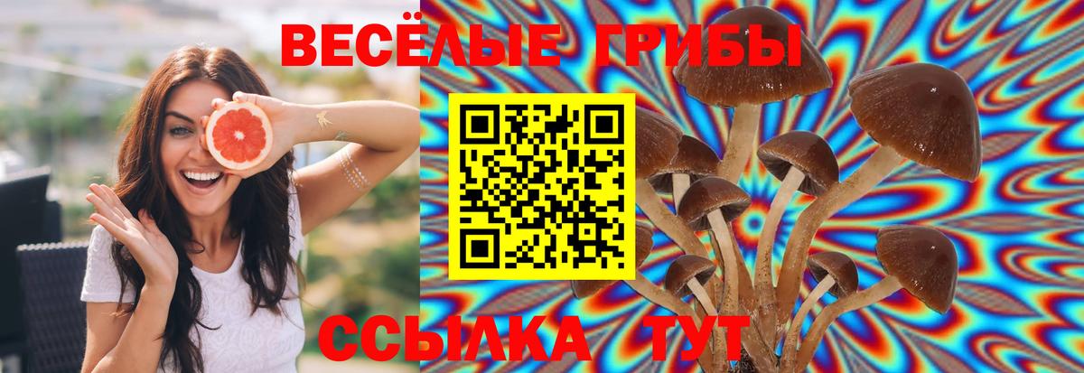 Псилоцибиновые грибы Magic Shrooms Ковров